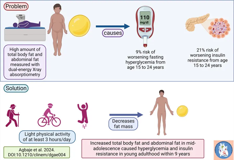 Increased body and abdominal fat caused insulin resistance already in teenagers, raising type 2 diabetes risk